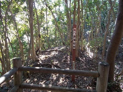 f0308898_21101991.jpg