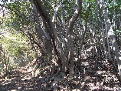 f0308898_21121398.jpg