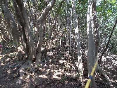 f0308898_21124129.jpg