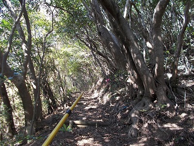 f0308898_21125140.jpg