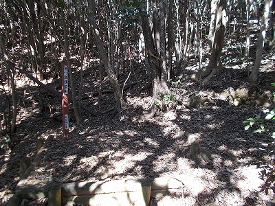 f0308898_21131674.jpg
