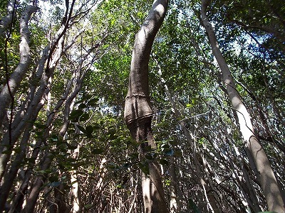 f0308898_21132884.jpg