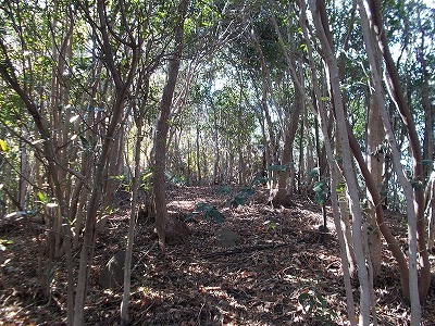 f0308898_21142734.jpg