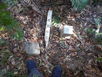 f0308898_21150421.jpg
