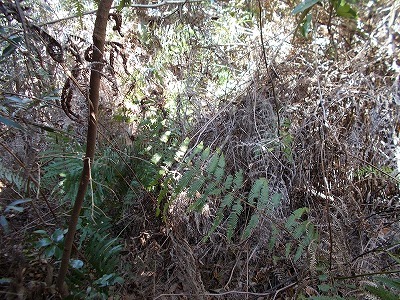 f0308898_21151986.jpg