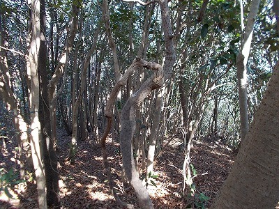 f0308898_21152967.jpg
