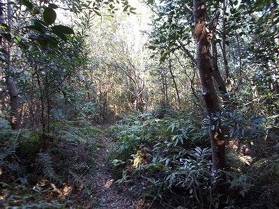 f0308898_21155193.jpg