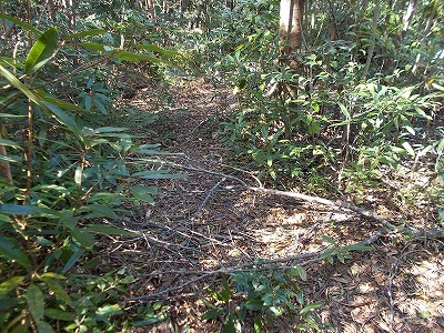 f0308898_21182876.jpg