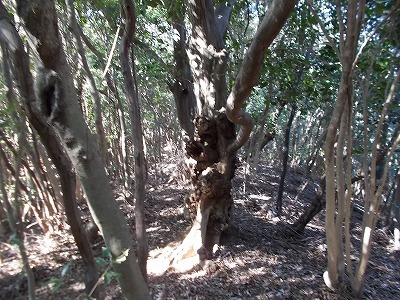 f0308898_21190999.jpg