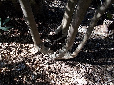 f0308898_21191850.jpg