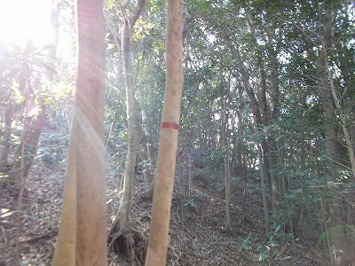 f0308898_21192510.jpg