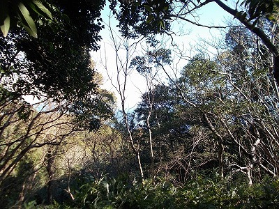 f0308898_21193432.jpg