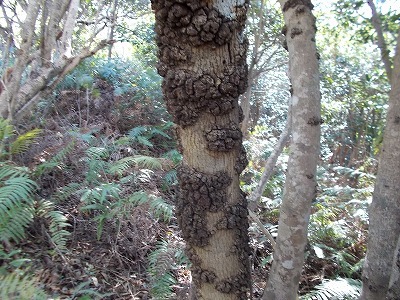 f0308898_21194550.jpg