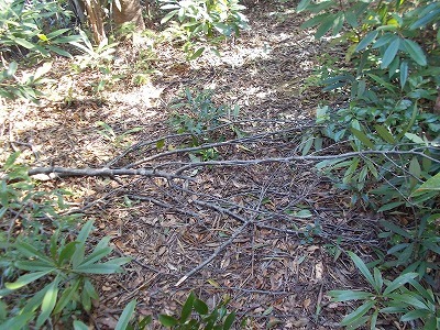 f0308898_21195445.jpg