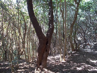 f0308898_21201601.jpg