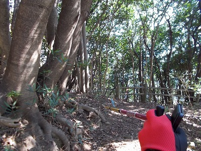 f0308898_21204858.jpg