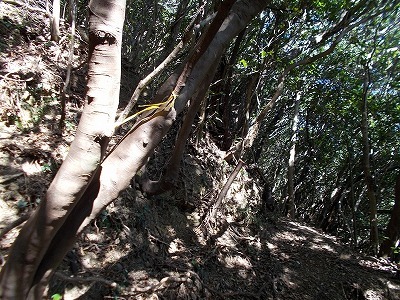 f0308898_21210377.jpg