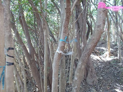 f0308898_21231330.jpg
