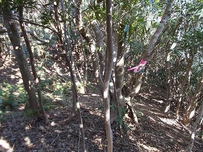 f0308898_21232663.jpg