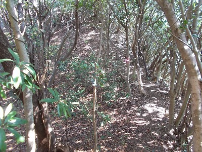 f0308898_21241077.jpg