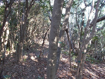 f0308898_21245488.jpg