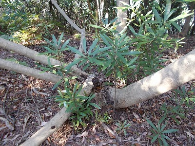 f0308898_21250856.jpg