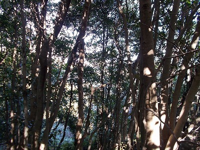 f0308898_21251629.jpg