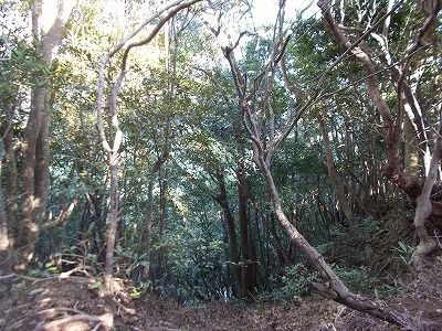 f0308898_21254017.jpg