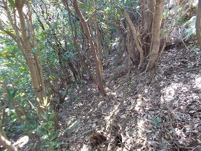 f0308898_21260428.jpg