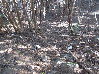 f0308898_21261894.jpg