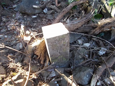 f0308898_21263358.jpg