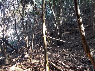 f0308898_21281216.jpg