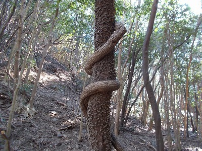 f0308898_21292196.jpg