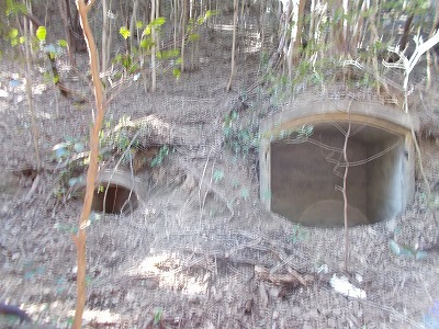 f0308898_21294865.jpg