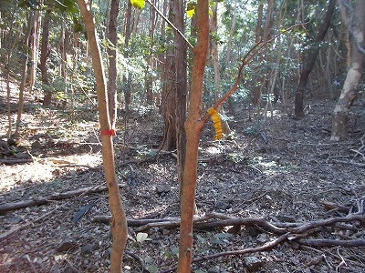 f0308898_21300019.jpg