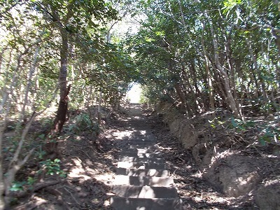 f0308898_21310018.jpg