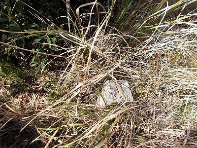 f0308898_21315021.jpg