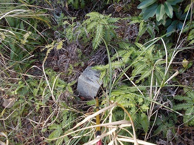 f0308898_21315916.jpg