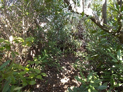 f0308898_21333826.jpg