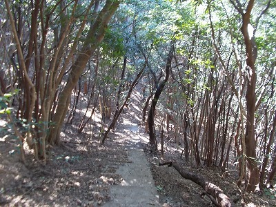 f0308898_21345797.jpg