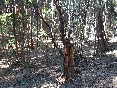 f0308898_22073505.jpg