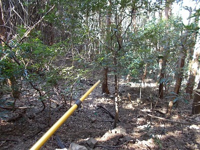f0308898_22080567.jpg