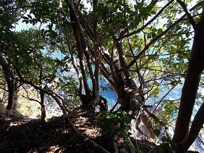f0308898_22093552.jpg
