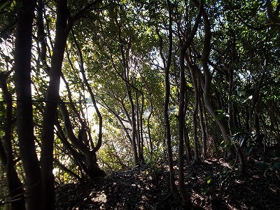 f0308898_22100590.jpg