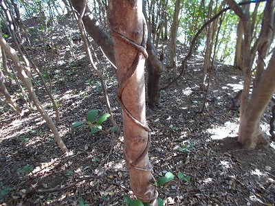 f0308898_22103578.jpg