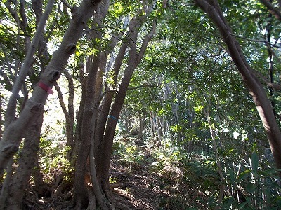 f0308898_22113545.jpg