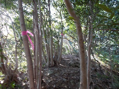 f0308898_22135453.jpg