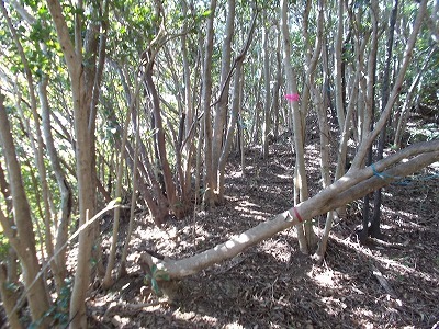 f0308898_22151658.jpg