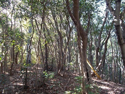 f0308898_22162387.jpg