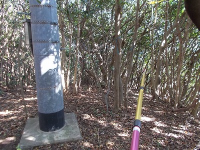 f0308898_22172314.jpg